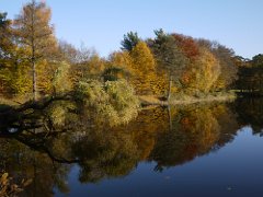 Natur im Herbst